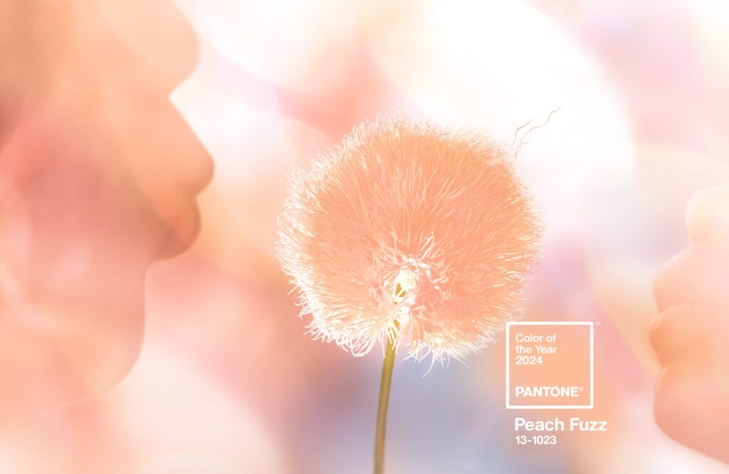 Peach Fuzz – Como a cor do ano da Pantone pode ser utilizada na decoração da sua casa